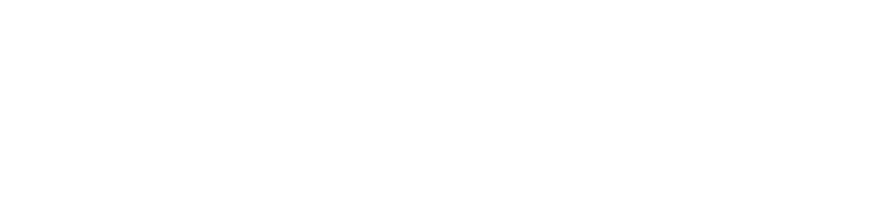 cub-cadet2