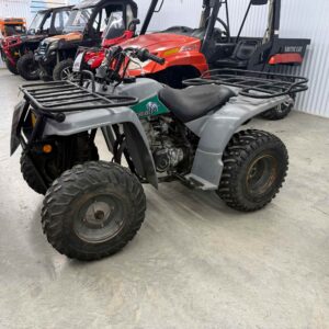 YAMAHA - TIMBER WOLF 250 - 1993