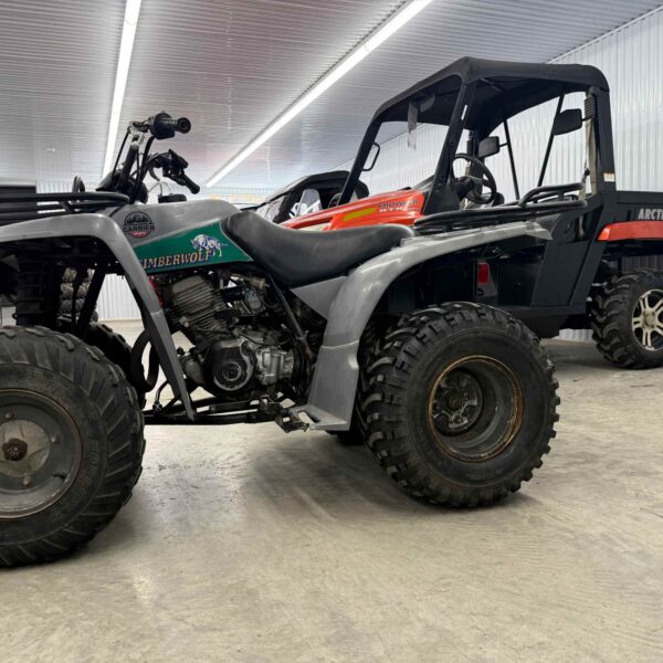 YAMAHA - TIMBER WOLF 250 - 1993 – Image 7