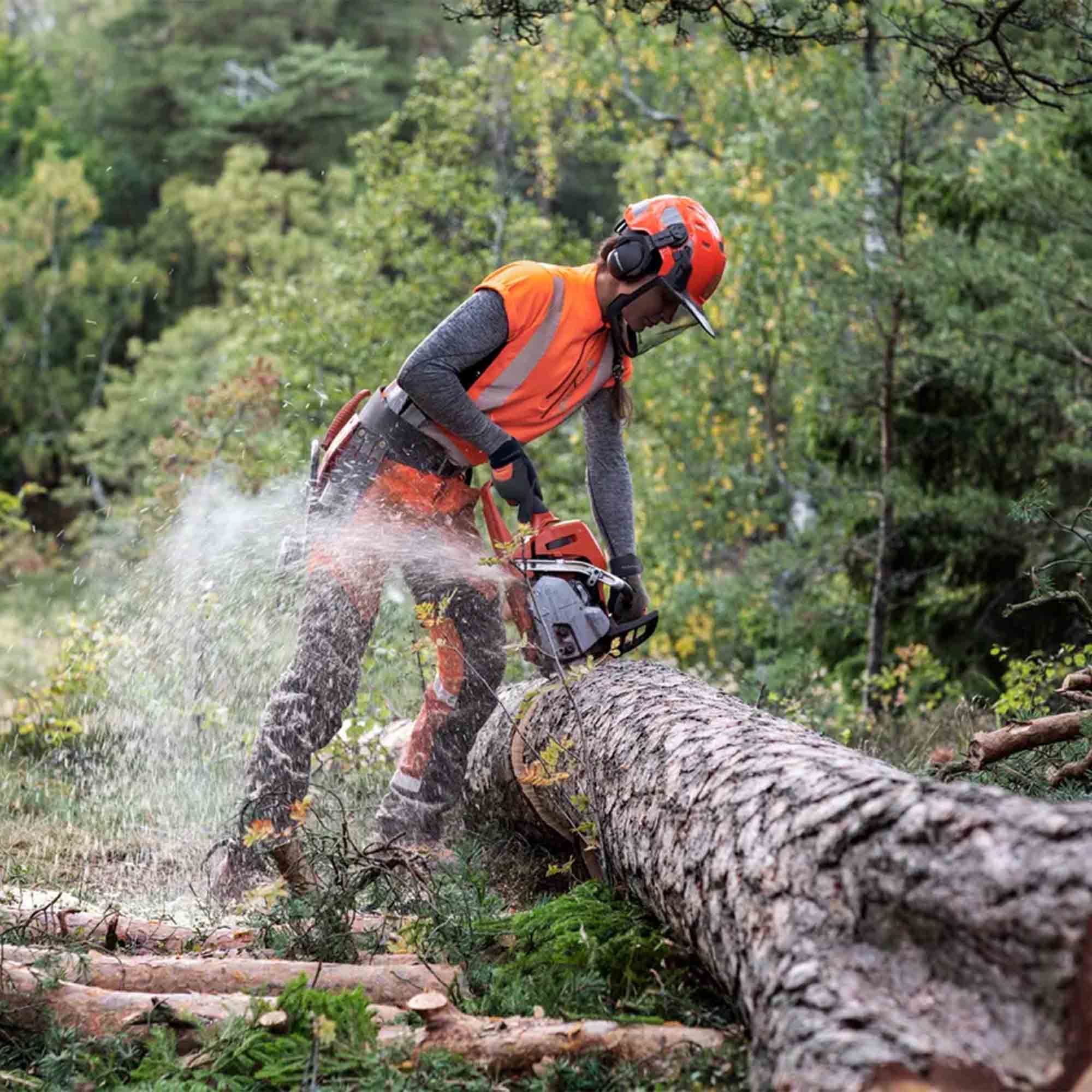 HUSQVARNA 550XP – Image 5