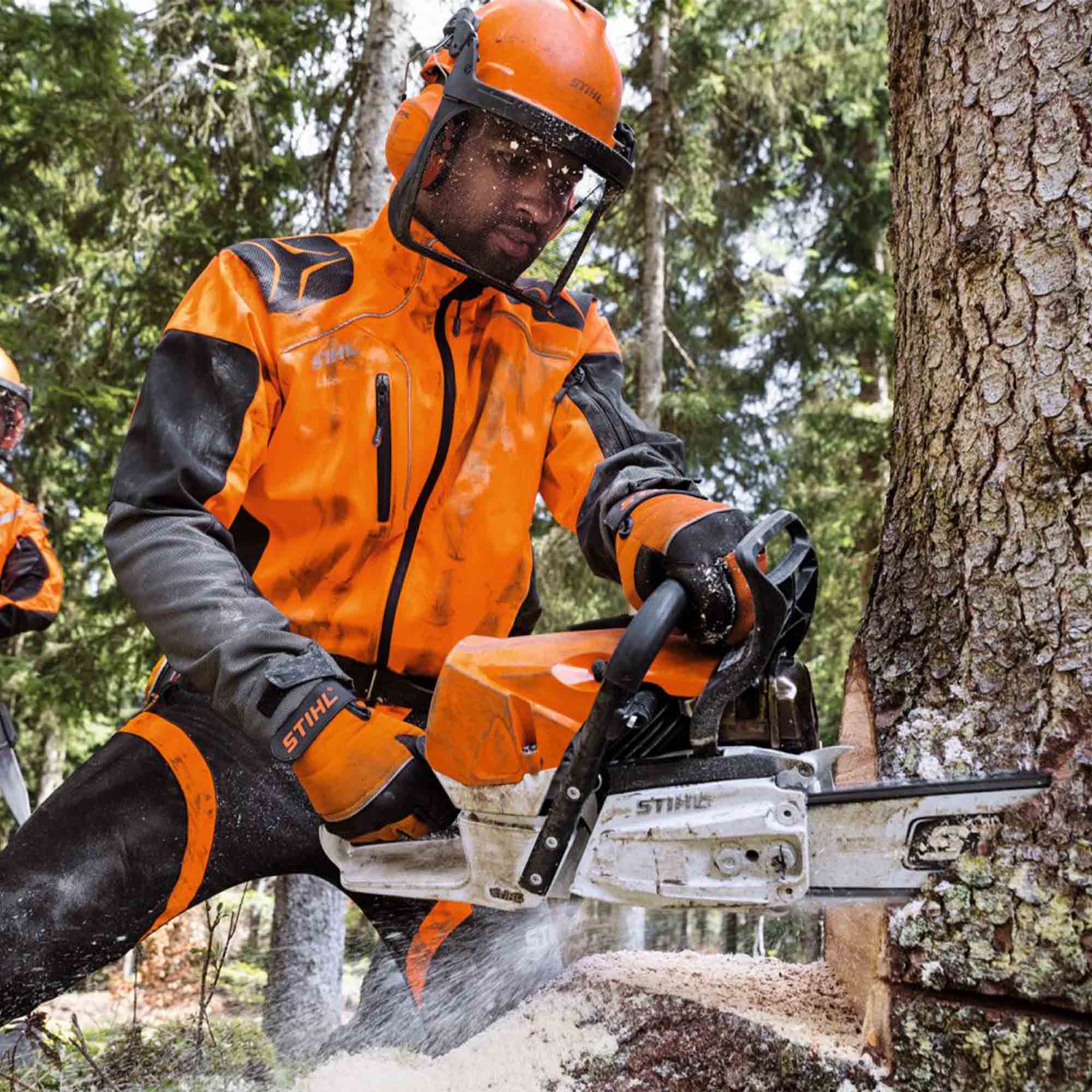 STIHL MS 462CMR – Image 4
