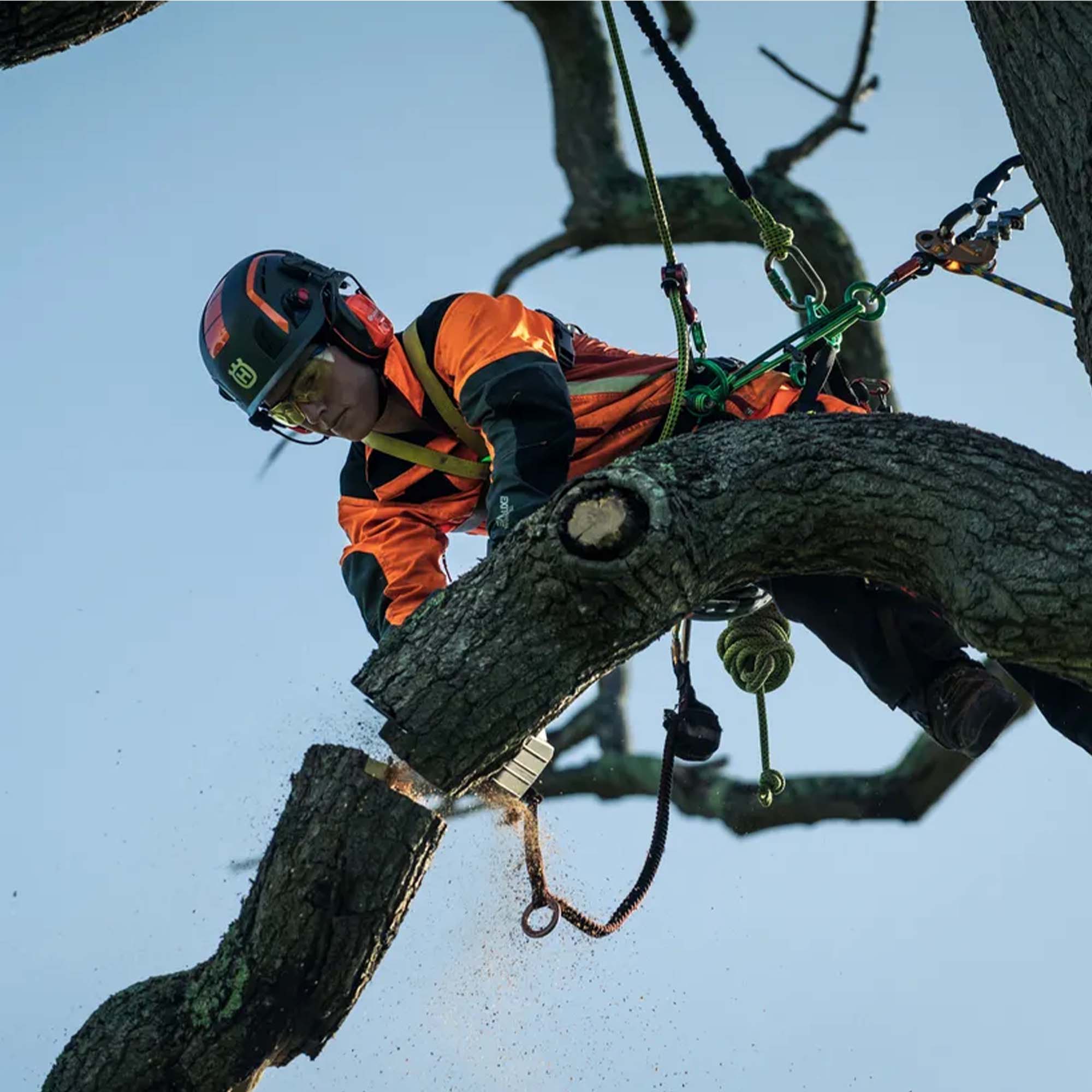 HUSQVARNA 555AT – Image 5