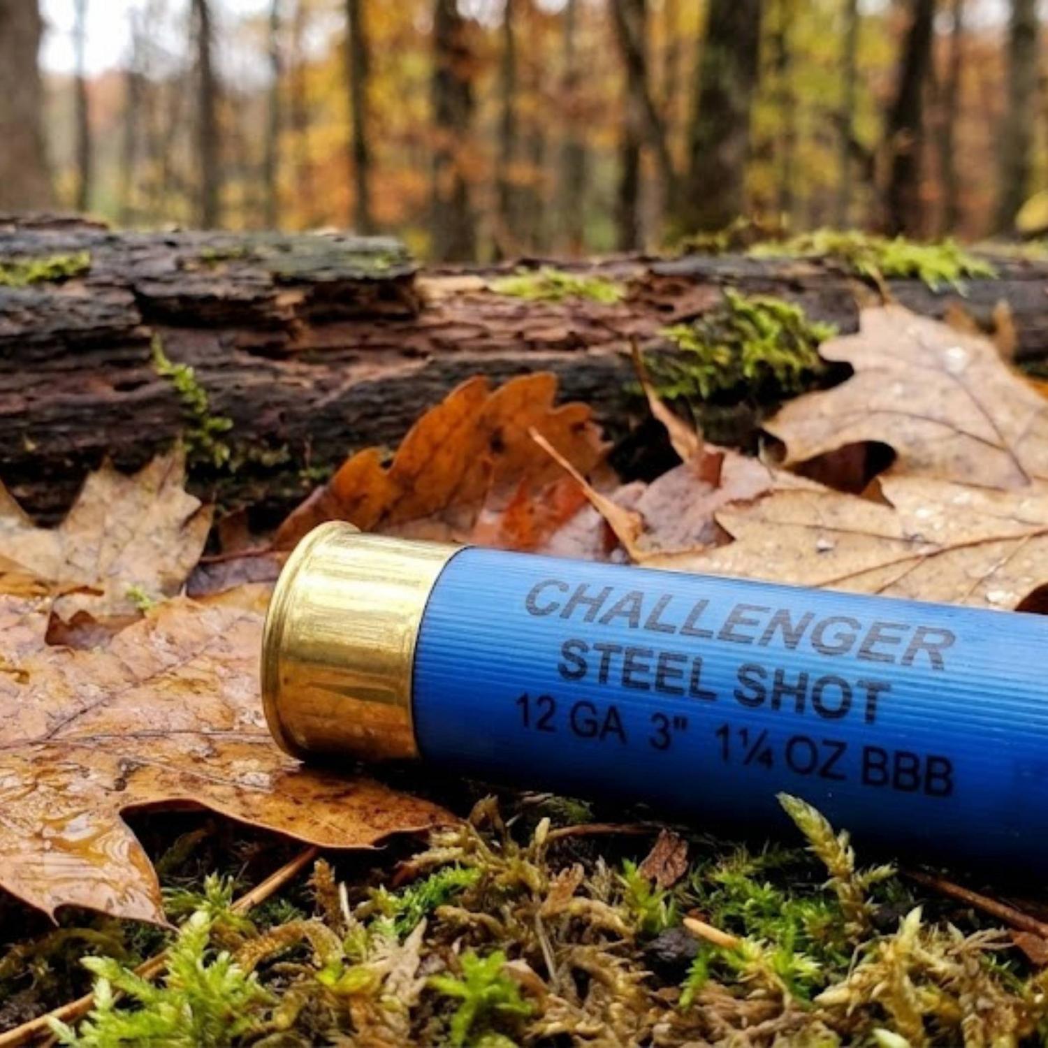 Cartouche Challenger Steel Shot 12G 3 po 1-1/4 oz BBB 25 par boîte