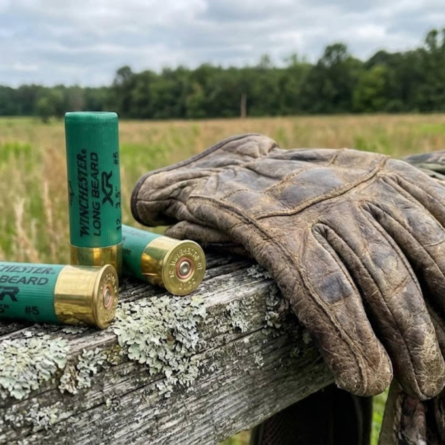 Cartouche Winchester Long Beard XR 12ga 3.5po #5 10 par boîte