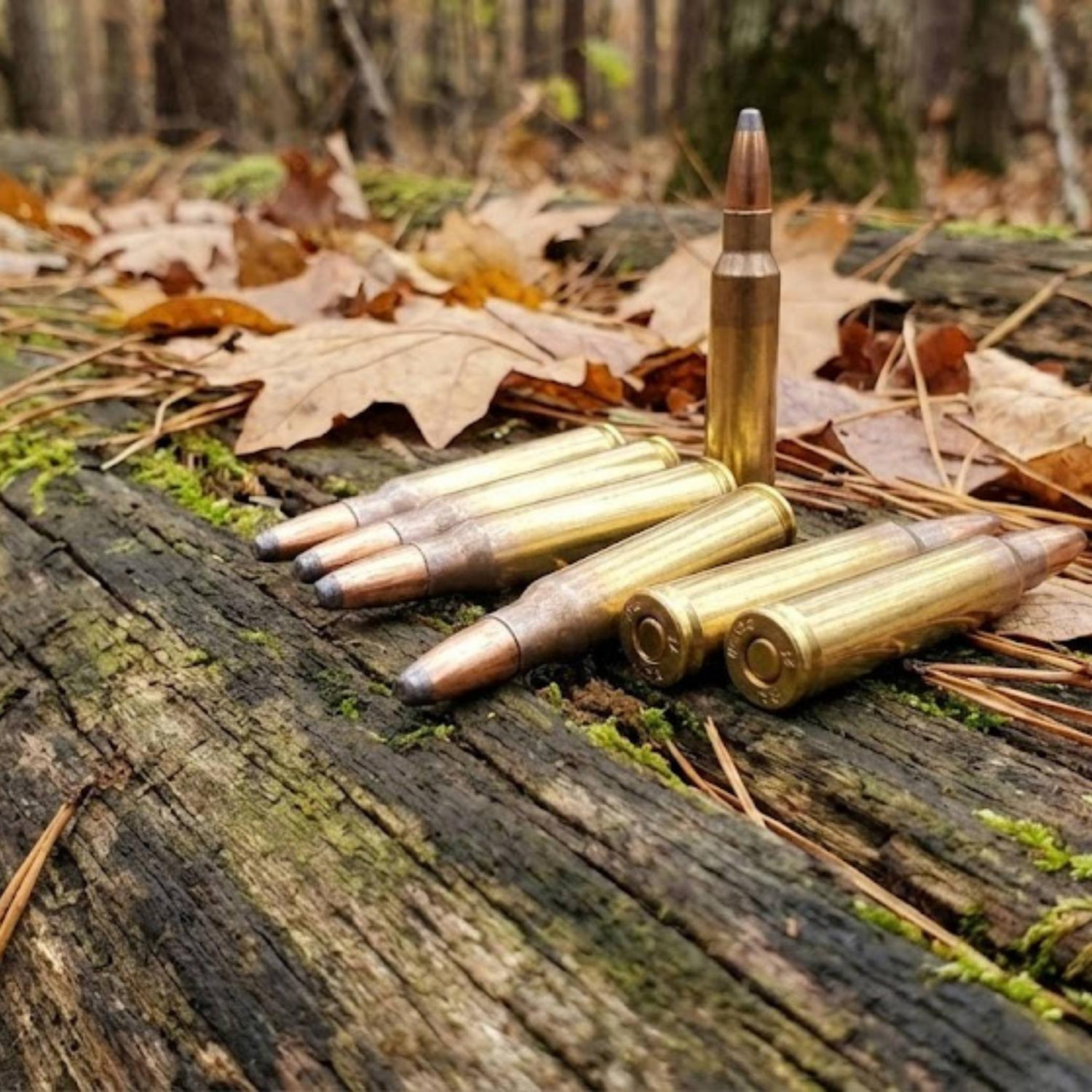 Munition Barnaul .223 Rem 62 gr SP 20 par boîte