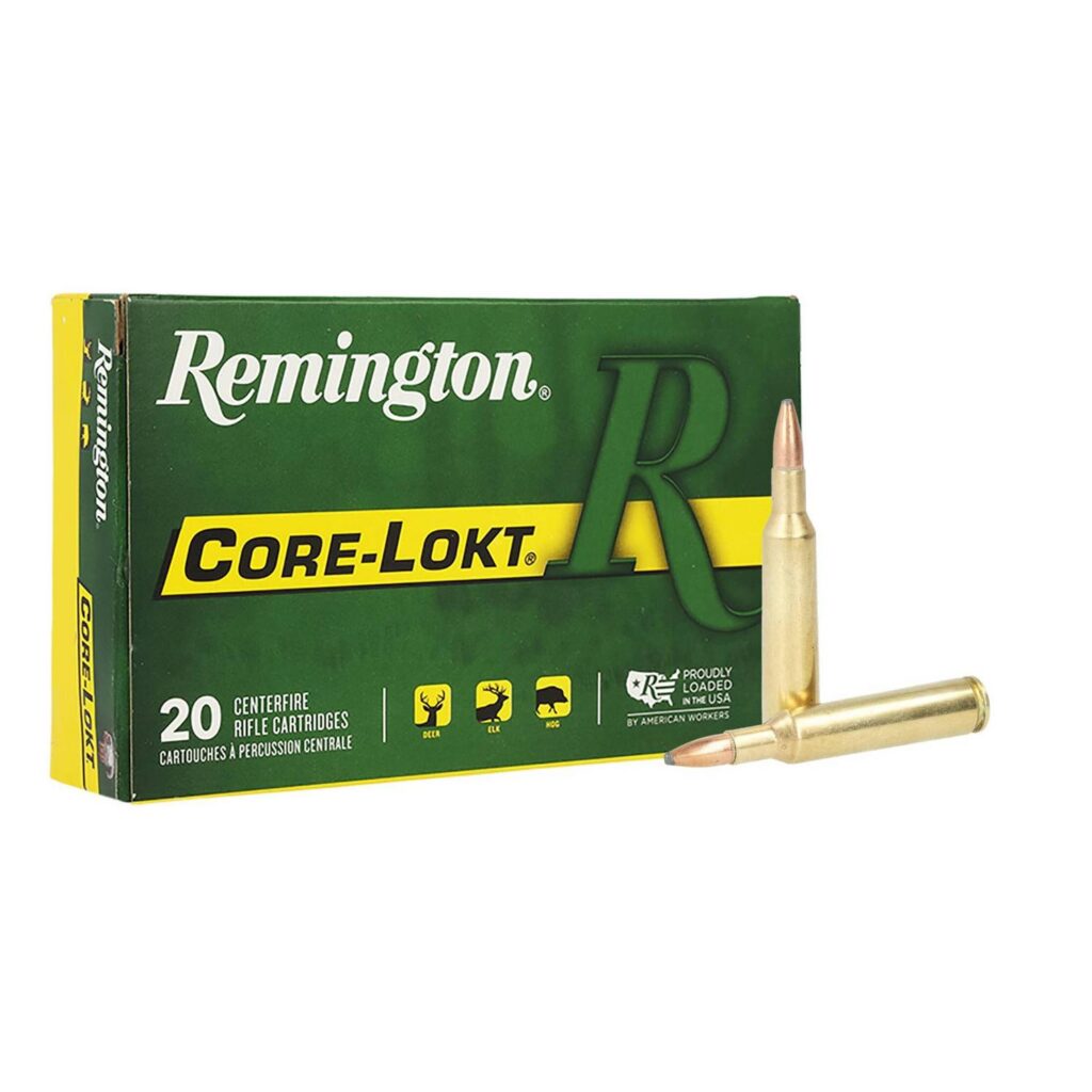 Munition Remington Core-Lokt 300 Win Mag 180 gr 20 par boîte