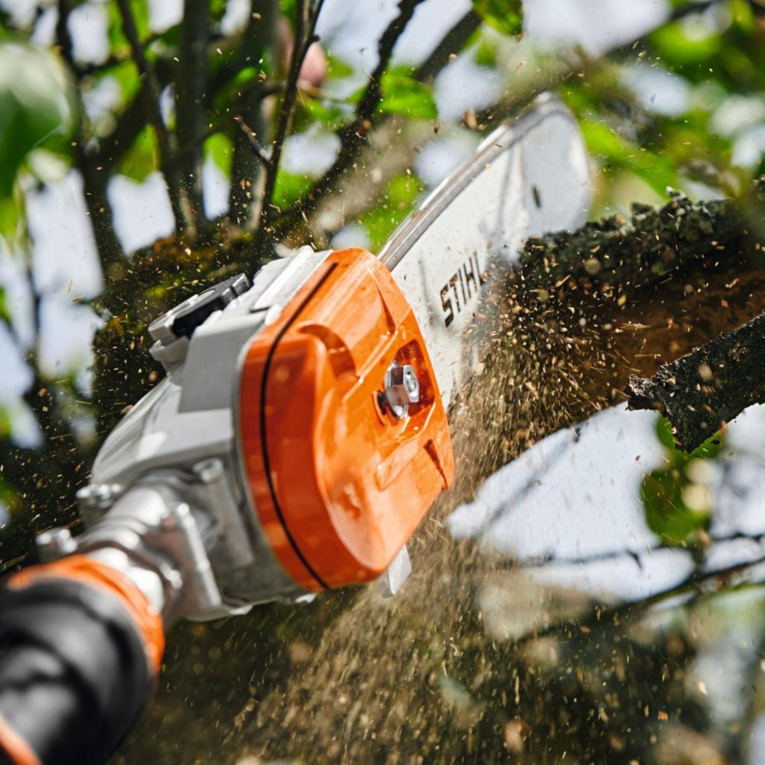 STIHL HTA 135 Perche élagueuse sur batterie