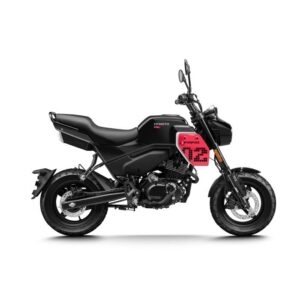 PAPIO CL - NOIR - 2026