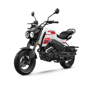 PAPIO CL - BLANC - 2026