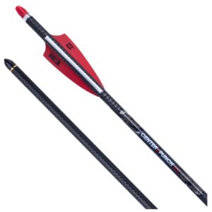 Arc à poulies TenPoint Center Punch HPX 6PK