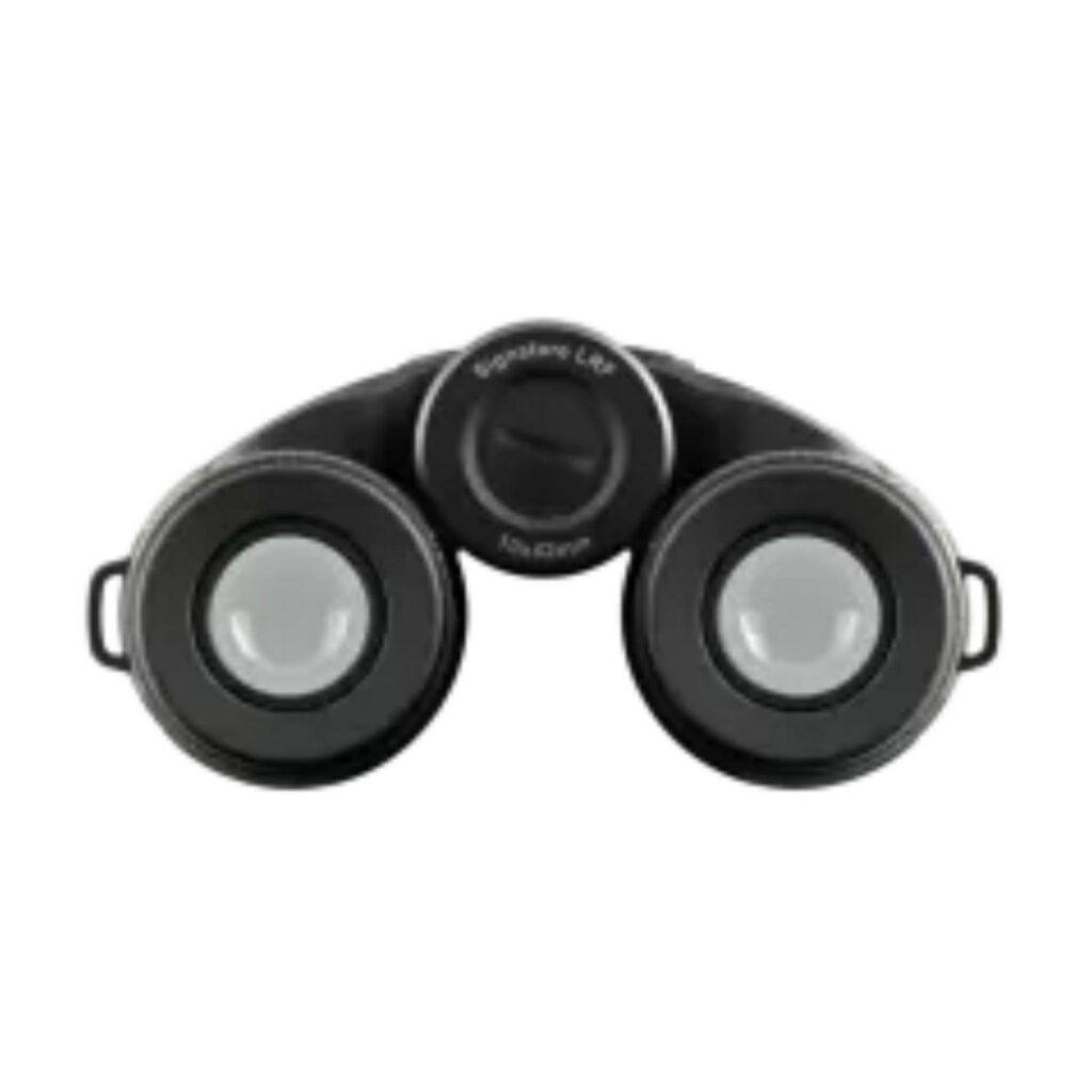 Jumelles Burris Signature HD 10x42 LRF Bino Green Grey