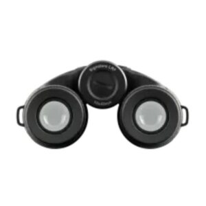 Jumelles Burris Signature HD 10x42 LRF Bino Green Grey