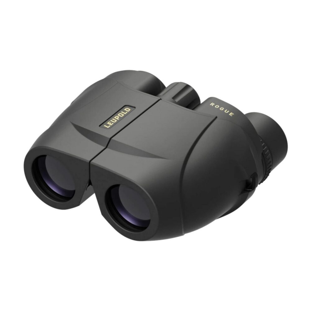 Jumelles Leupold BX-1 Rogue 10x25 MM Compact Porro Black